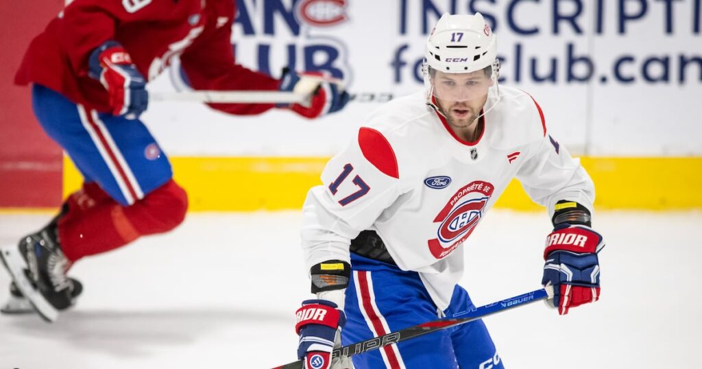 Canadiens’ Anderson takes therapy day – TSN