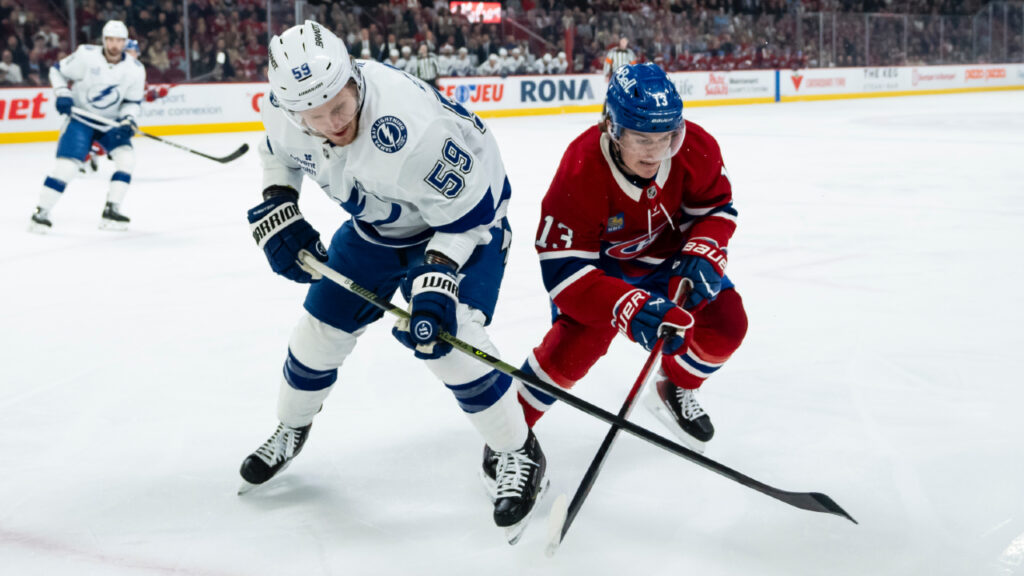 Two sentences about every Stanley Cup Playoff team