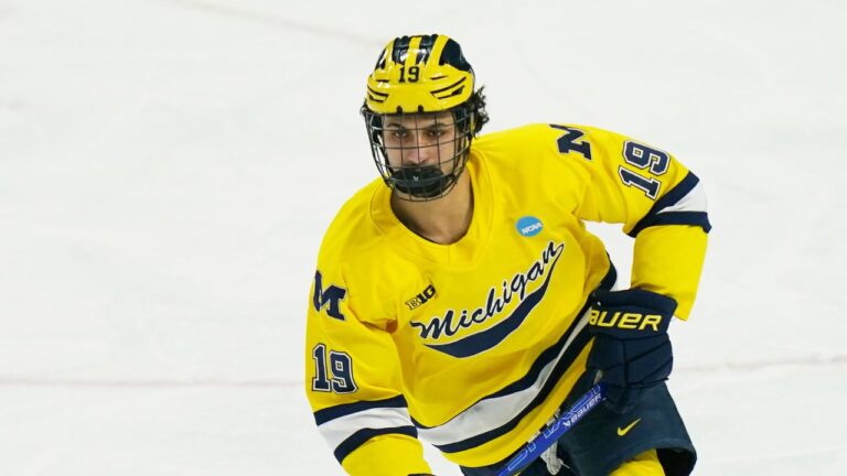 Tough decisions loom for Canadiens' St. Louis, including what to do with Hage