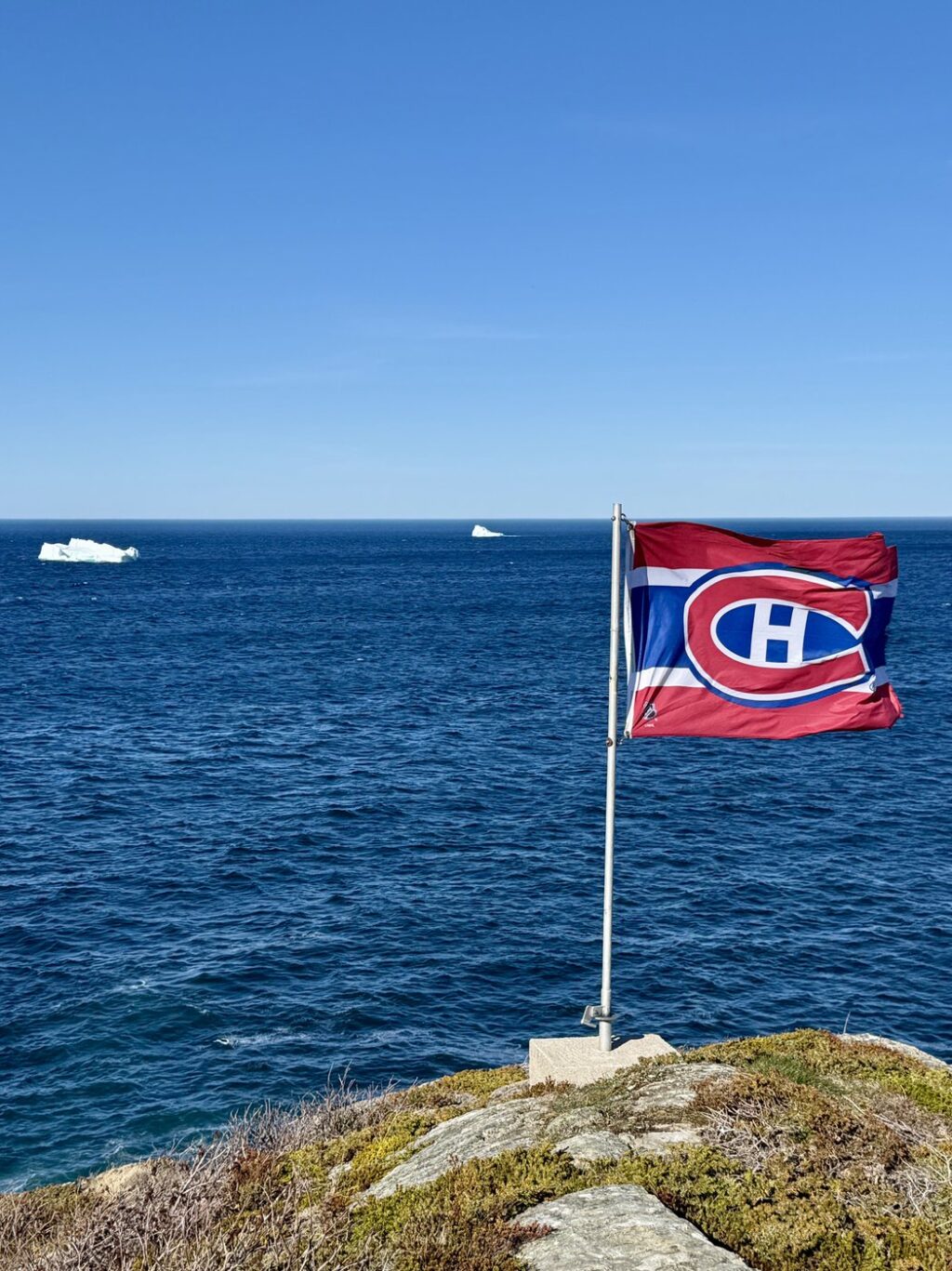 Alex Newhook fans turn N.L. bars into ‘mini Bell Centres’ during Habs playoff games | NanaimoNewsNOW