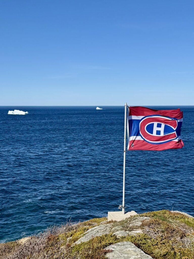 Alex Newhook fans turn N.L. bars into ‘mini Bell Centres’ during Habs playoff games | NanaimoNewsNOW
