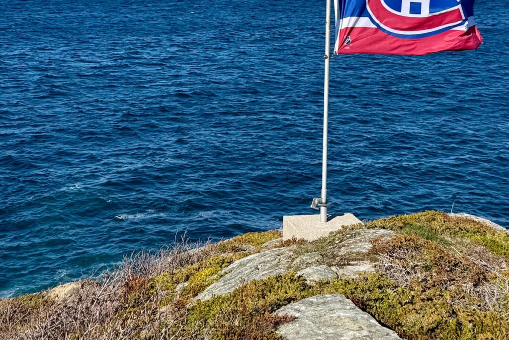 Alex Newhook fans turn N.L. bars into ‘mini Bell Centres’ during Habs playoff games
