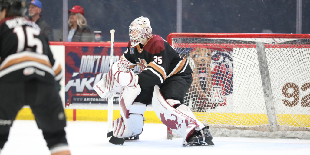 Tucson Roadrunners Taking Part In Utah Mammoth Rookie Camp